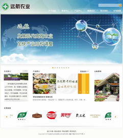 鄭州浩方網絡 專業賦能鄭州遠航農業科技，打造一體化數字平臺